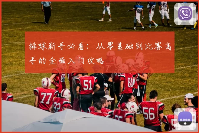 排球新手必看：从零基础到比赛高手的全面入门攻略