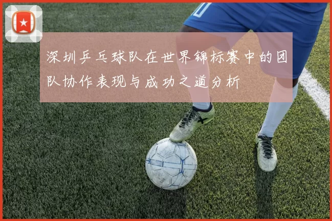 深圳乒乓球队在世界锦标赛中的团队协作表现与成功之道分析