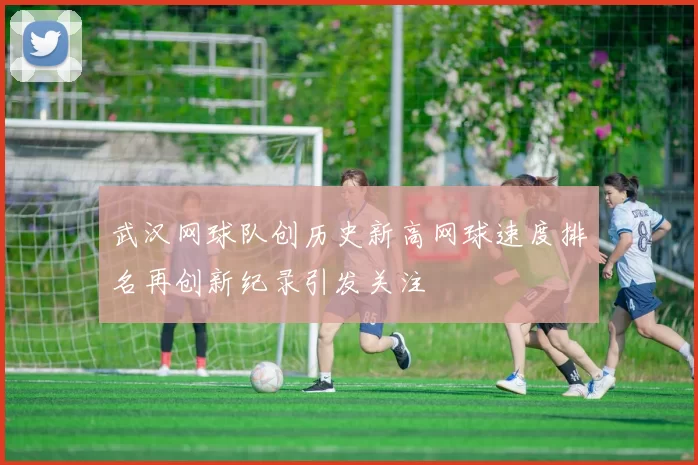 武汉网球队创历史新高网球速度排名再创新纪录引发关注