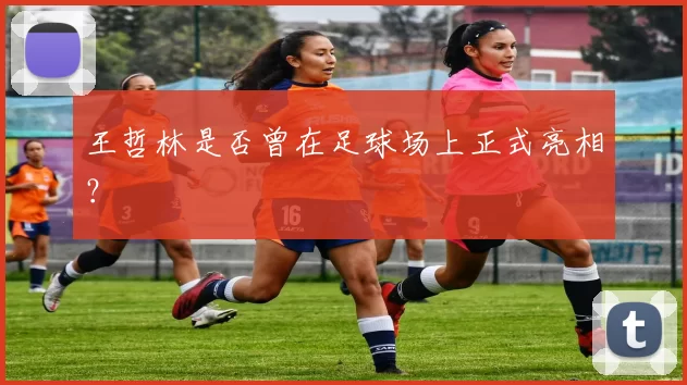 王哲林是否曾在足球场上正式亮相？
