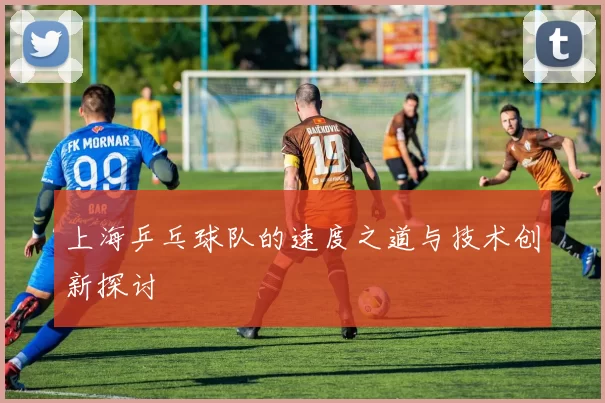 上海乒乓球队的速度之道与技术创新探讨