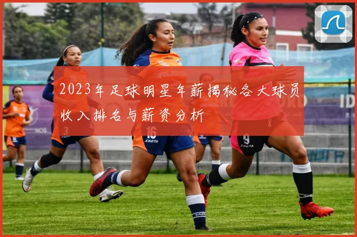 2023年足球明星年薪揭秘各大球员收入排名与薪资分析