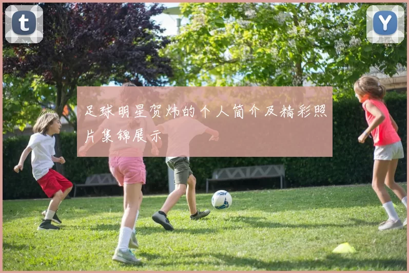 足球明星贺炜的个人简介及精彩照片集锦展示