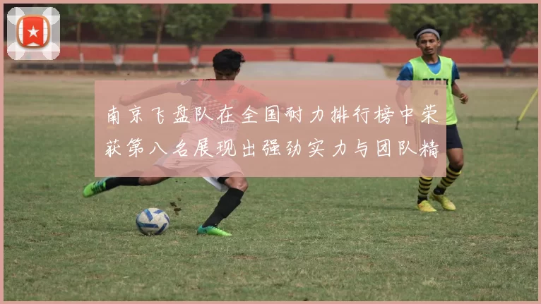 南京飞盘队在全国耐力排行榜中荣获第八名展现出强劲实力与团队精神