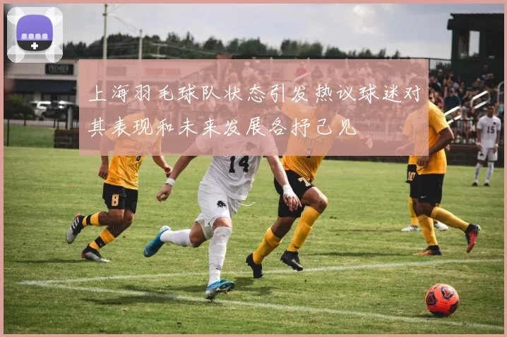 上海羽毛球队状态引发热议球迷对其表现和未来发展各抒己见