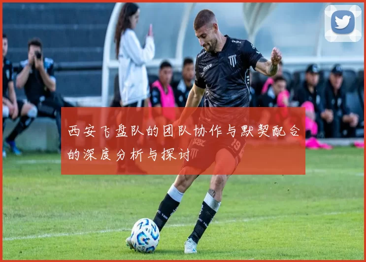 西安飞盘队的团队协作与默契配合的深度分析与探讨